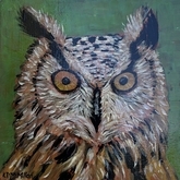Mr Owl