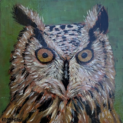 Mr Owl