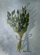 Parsley Bunch