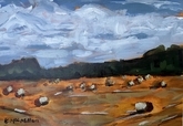 Landscape Study