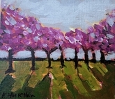 Cherry Trees